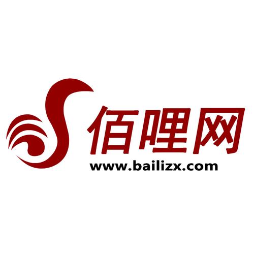 上海佰哩信息技術